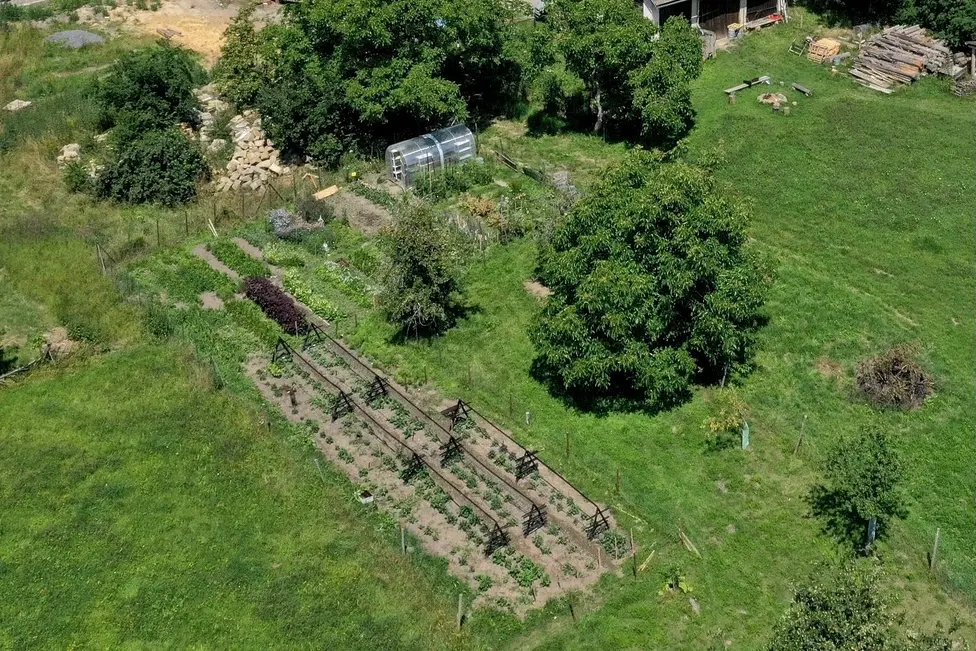 Květinové pole v Olešnici z výšky, záhony mezi domy a loukami